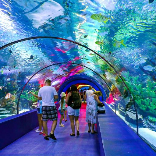 Best Aquariums in the US